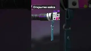 16 ноября 2023 г.