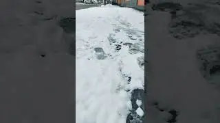Первый снег в Харькове