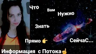 ЧТО ВАМ НУЖНО ЗНАТЬ?ПРЯМО СЕЙЧАС‼️Информация с Потока. СОВЕТ таро😇