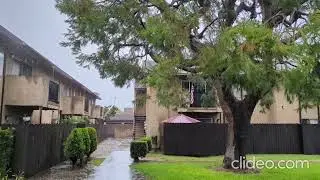 Tropical Storm Hilary in SoCal (2023)