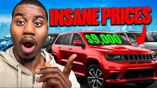 I WENT TO MY FIRST DEALER AUCTION!!!