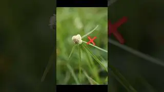 Best👿 Photography In 2024 
