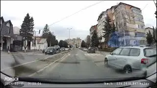 Fălticeni... și bizonii