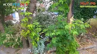 Мусорки дома 49 корпус 2, 3, 4 #Мытищи #Новомытищинский #дом49