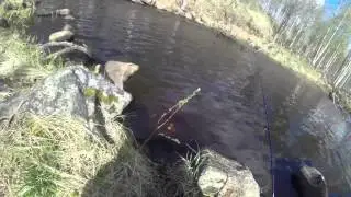 лето 2015 отдых с семьей