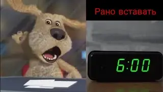 Бен оценивает школу