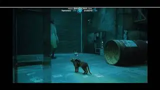 A Stray From the League - A Final Chapter #gameplay #stray