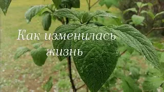 Депрессии раньше не было...