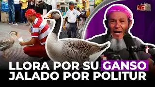 JUAN LLORA POR SU GANSO JALADO POR POLITUR: 