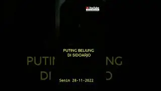 Angin Puting beliung Melanda Kota Sidoarjo Tetap Hati -Hati  Dan Waspada Kawan Dijalan