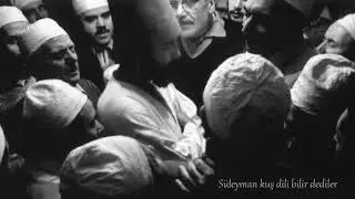 Severim Seni Ben Candan İçeru