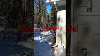 #deadwood #blackhills