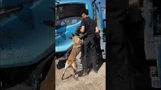 Amazing helping video ❤️ 