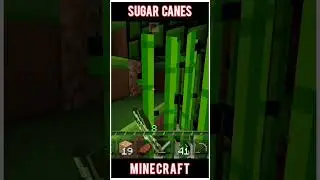 #minecraftshorts #buildings #mineceaftsurvivalguide #shorts