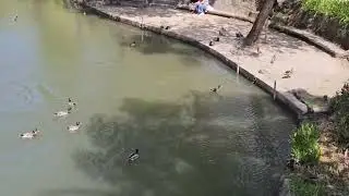 Day in the park