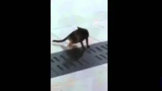Профессионал