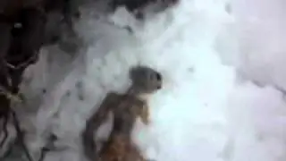 Alien Body Found In Russia