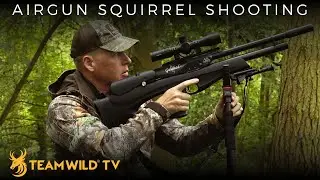 Airgun Squirrel Hunting with the Air Arms Ultimate Sporter