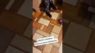 4 декабря 2023 г.