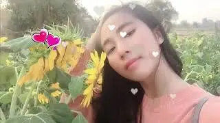 Thank chan