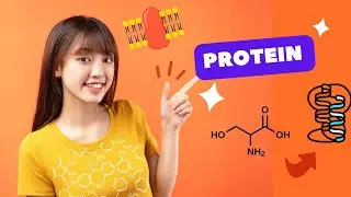 PROTEIN details form basic level to advance level