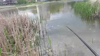 Просто. Для души.