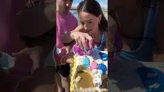 Dig Into The Cake And Find Out The Gender💙🩷