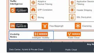 What is the Gigamon Data-in-Motion Visibility Platform Portfolio