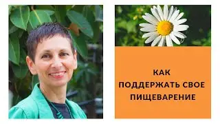 Как поддержать свое пищеварение