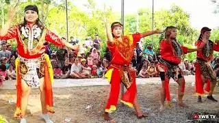 @JarananJember Megasari Tari Sekar Jathil Putri Live desa Sidorejo Umbulsari Jember (29 Okt 2024)