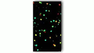 ✨Template Video Background effect #video _screen _effect_template_video | Avee Player Template Video