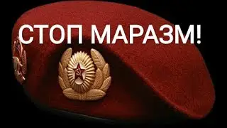 СТОП МАРАЗМ!