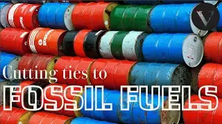 How U of T's School of the Environment cut financial ties to the fossil fuel industry