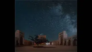 Грядущий Царь Собаке пятая нога