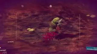 Extreme survivor bug- No Mans Sky (PS4)
