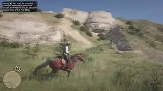 Red Dead Online Hair Bug