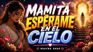 NOS VEREMOS EN EL CIELO 🌹 Canción que Parte el Alma | Huayno Drop