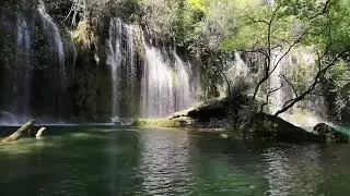 A place in your mind that makes you feel happy #meditation #relaxingmusic #viral