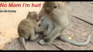 OMG What wrong Leyla! Lucas still sick and hurt, Pity baby Lucas still remember like Banana