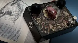 More Than...Dr No Effects TVL (Troy Van Leeuwen) Octavia