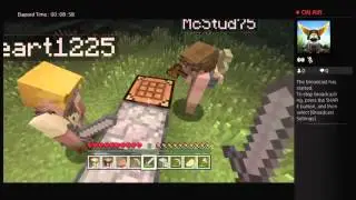 Speed Run to the Ender Dragon
