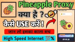 How To Use Pineapple Proxy VPN App || Pineapple Proxy VPN App Kaise Use Kare || Pineapple Proxy