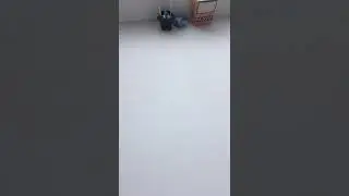 22 августа 2020 г.