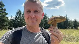 Грибы есть даже жарким летом!!!