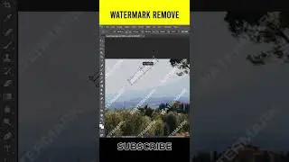 Watermark Remove in Photoshop