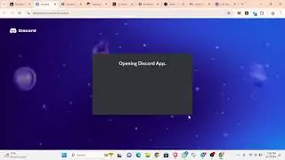 Make $500 - $1000 participating in Sony's layer2 Blockchain (Soneium Testnet).