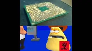 CPU AMD INTEL
