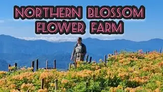 Northern Blossom Flower Farm   /   Alex Xander