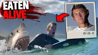The HORRIFYING Last Minutes of Lucas Ransom RIPPED APART By Great White Shark!