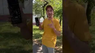 Когда любишь песню Кемон